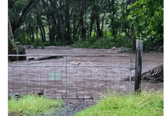 Hale Mua Cultural Group