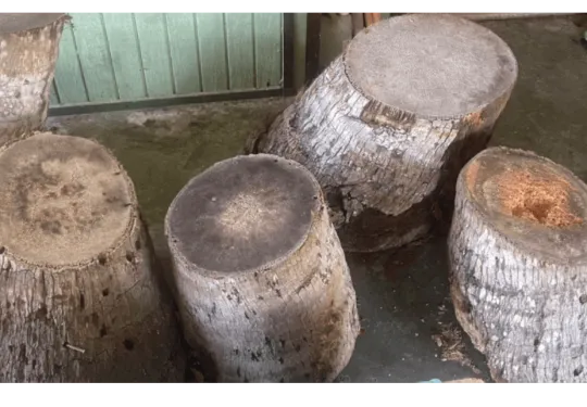 Hale Mua Cultural Group